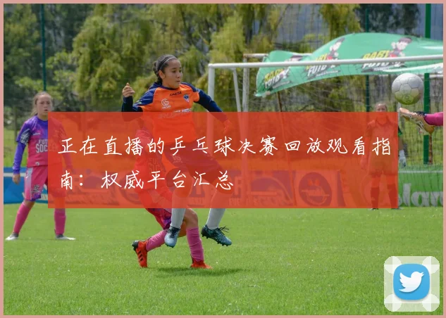 正在直播的乒乓球决赛回放观看指南：权威平台汇总