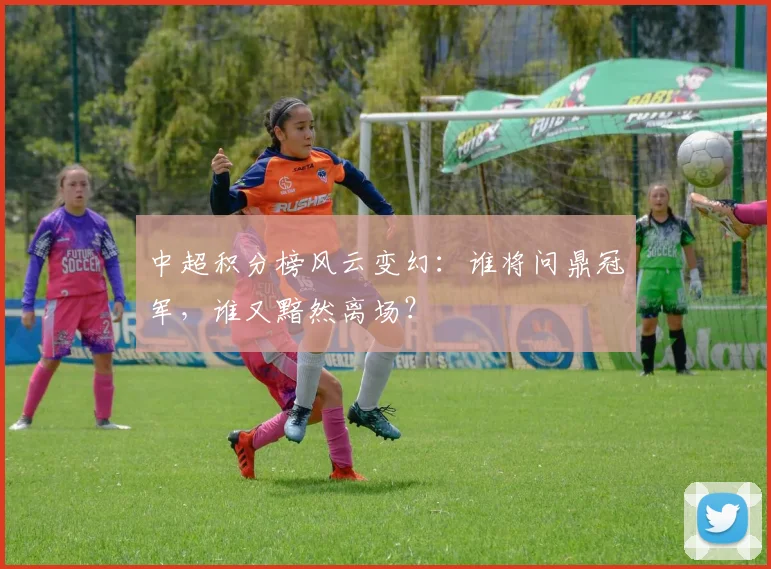 中超积分榜风云变幻：谁将问鼎冠军，谁又黯然离场？