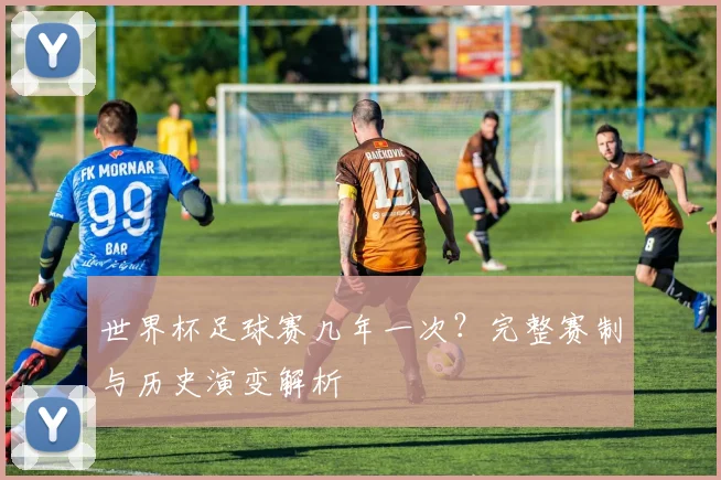 世界杯足球赛几年一次？完整赛制与历史演变解析