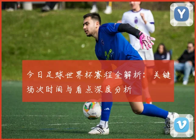 今日足球世界杯赛程全解析：关键场次时间与看点深度分析